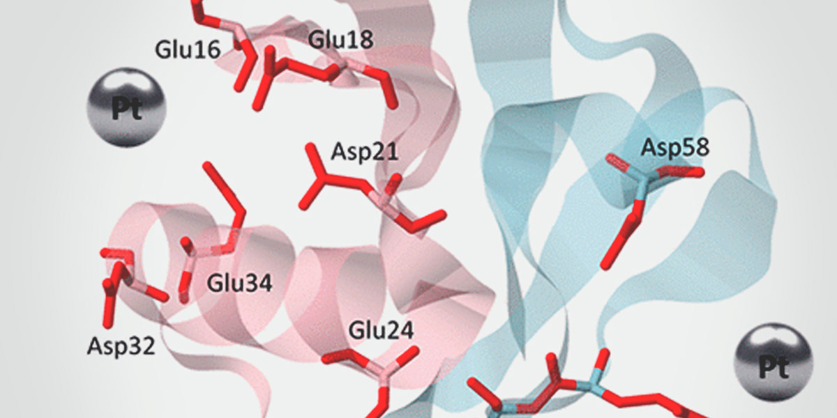 UNRAVELLING-UBIQUITIN-CISPLATIN-INTERACTIONS
